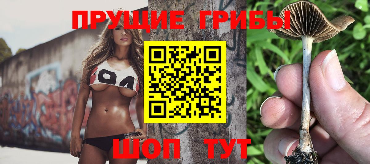 Галлюциногенные грибы MAGIC MUSHROOMS  Вход с VPN  Спасск-Дальний 